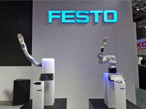 festo festo.jpg