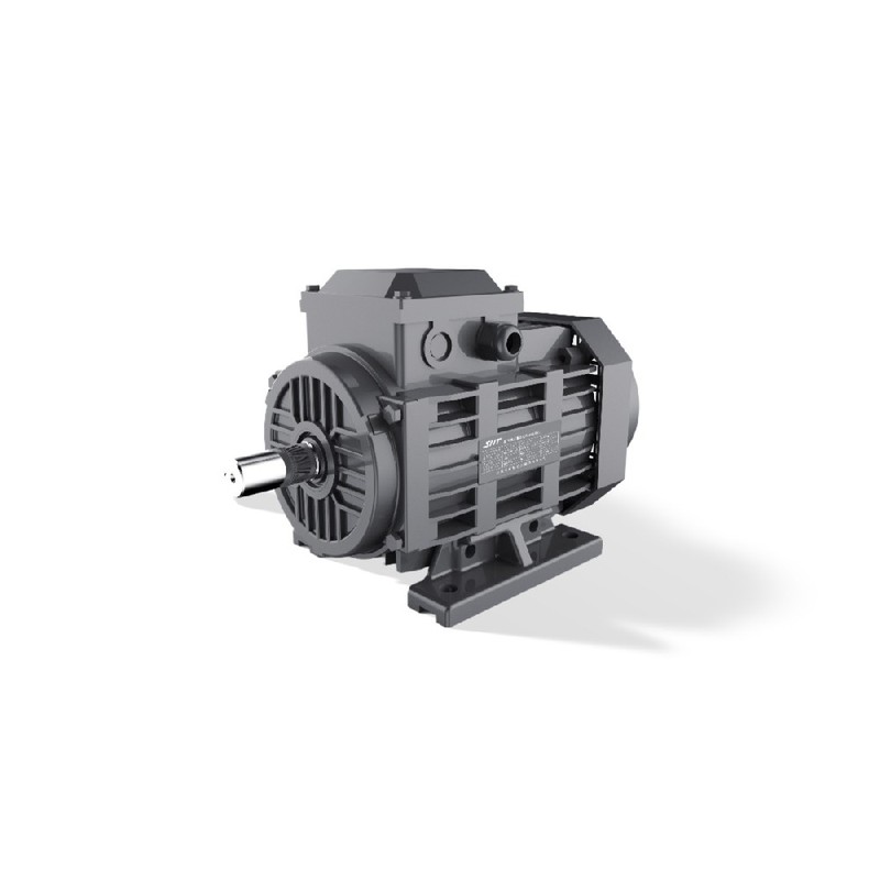 GESHI FTYP LSPM Motor 0.55-15kW IE4 Line Start IP55