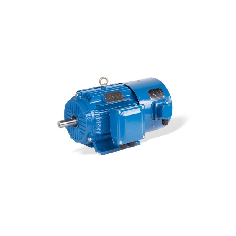 GESHI YVF2 VFD Inverter Duty Motor 0.55-315kW IP54